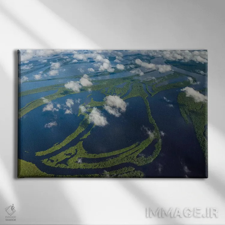 تابلو Manaus, Brazil II,نمای هوایی حوضهٔ رود آمازون، مانائوس، برزیل II اثر آرت وولف (عکاس حیات وحش آمریکایی) - نمای روبهرو روی دیوار