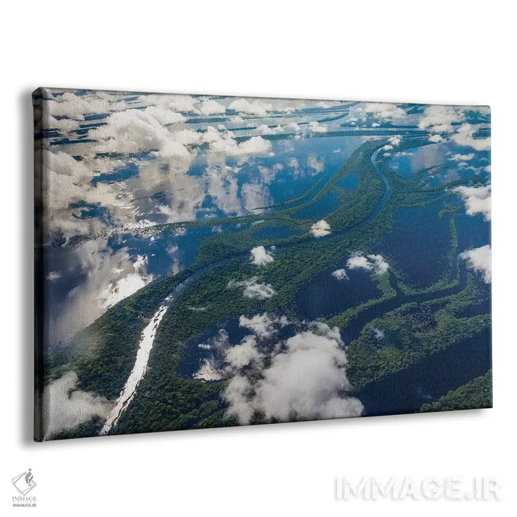 تابلو Manaus, Brazil I,نمای هوایی حوضهٔ رود آمازون، مانائوس، برزیل I اثر آرت وولف (عکاس حیات وحش آمریکایی) - نمای پرسپکتیو محصول