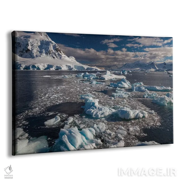 تابلو Antarctica,شبهجزیرهٔ جنوبگان، جنوبگان اثر آرت وولف (عکاس حیات وحش آمریکایی) - نمای پرسپکتیو محصول