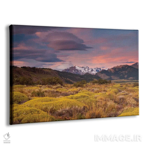 تابلو Patagonia landscape,آرژانتین، چشمانداز پاتاگونیا اثر آرت وولف (عکاس حیات وحش آمریکایی) - نمای پرسپکتیو محصول