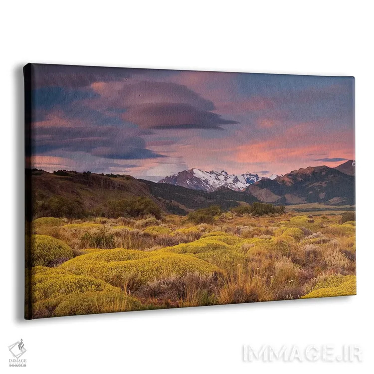 تابلو Patagonia landscape,آرژانتین، چشمانداز پاتاگونیا اثر آرت وولف (عکاس حیات وحش آمریکایی) - نمای پرسپکتیو محصول