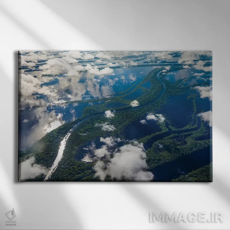 تابلو Manaus, Brazil I,نمای هوایی حوضهٔ رود آمازون، مانائوس، برزیل I اثر آرت وولف (عکاس حیات وحش آمریکایی) - نمای روبهرو روی دیوار