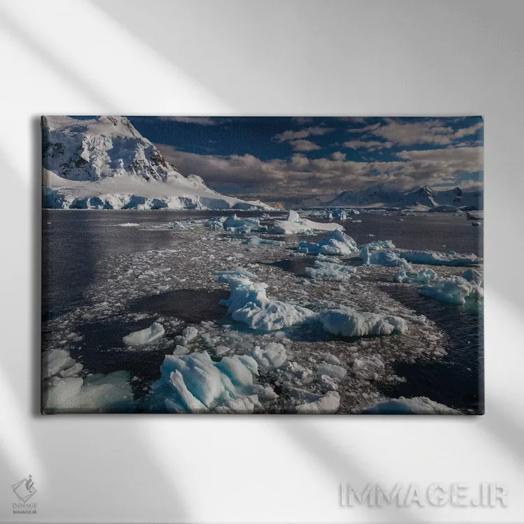 تابلو Antarctica,شبهجزیرهٔ جنوبگان، جنوبگان اثر آرت وولف (عکاس حیات وحش آمریکایی) - نمای روبهرو روی دیوار