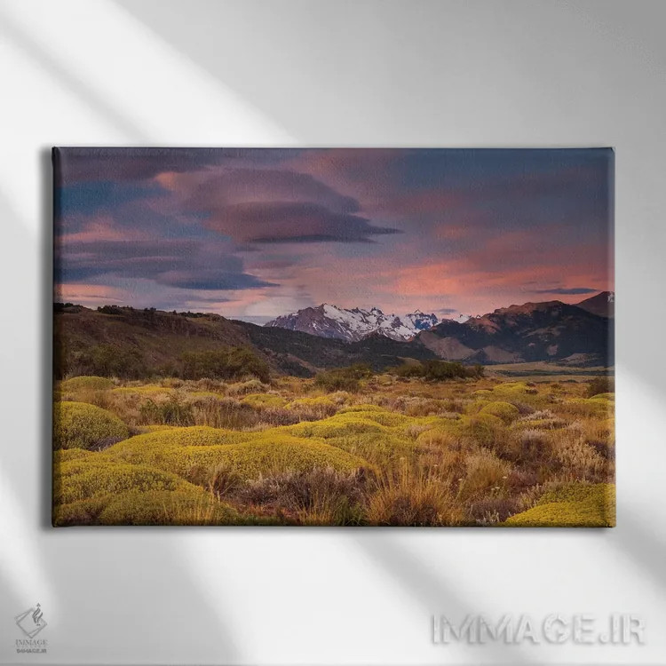 تابلو Patagonia landscape,آرژانتین، چشمانداز پاتاگونیا اثر آرت وولف (عکاس حیات وحش آمریکایی) - نمای روبهرو روی دیوار