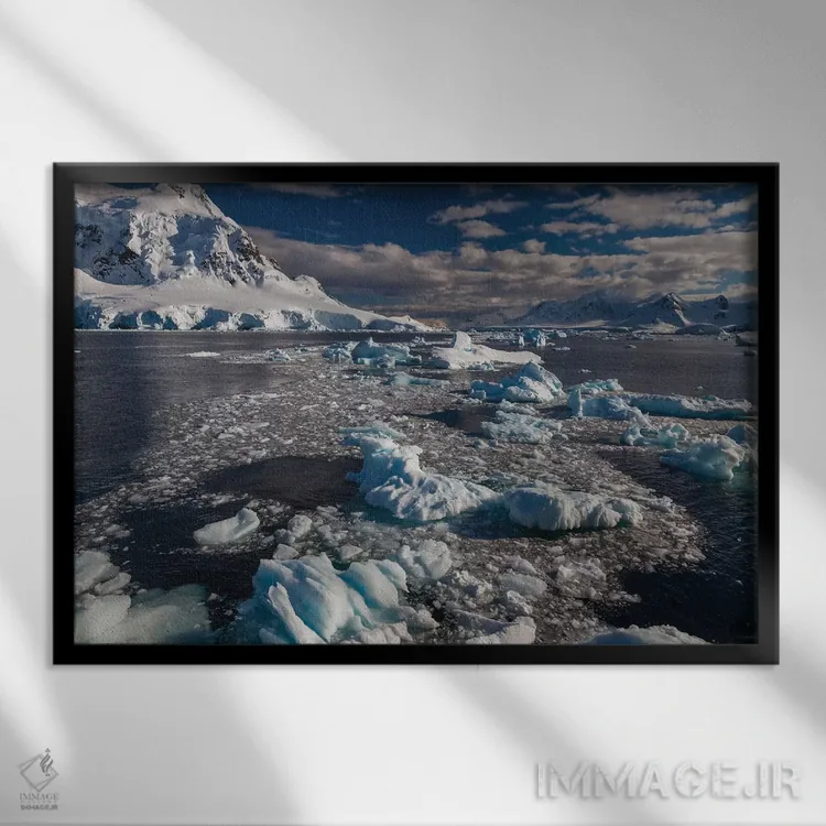 تابلو Antarctica,شبهجزیرهٔ جنوبگان، جنوبگان اثر آرت وولف (عکاس حیات وحش آمریکایی) - نمای قابدار مشکی