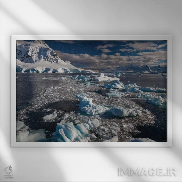 تابلو Antarctica,شبهجزیرهٔ جنوبگان، جنوبگان اثر آرت وولف (عکاس حیات وحش آمریکایی) - نمای قابدار سفید