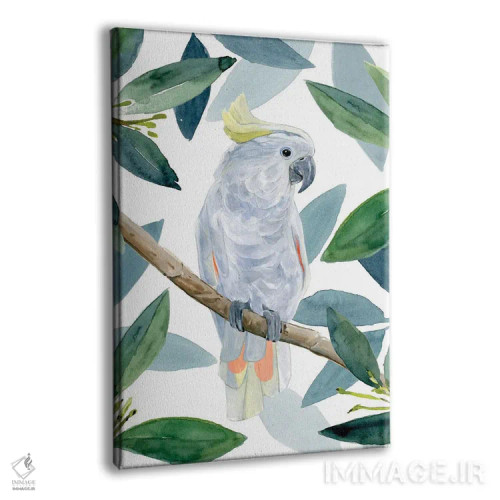 تابلو نشست طوطی کاکادو I اثر آنی وارن - نمای پرسپکتیو محصول