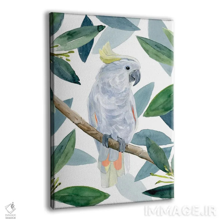 تابلو نشست طوطی کاکادو I اثر آنی وارن - نمای پرسپکتیو محصول
