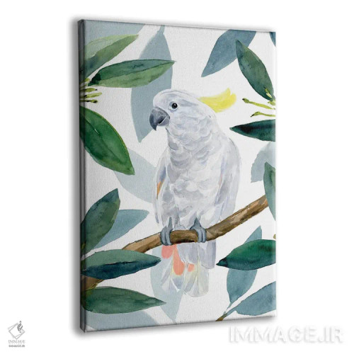 تابلو نشست طوطی کاکادو II اثر آنی وارن - نمای پرسپکتیو محصول