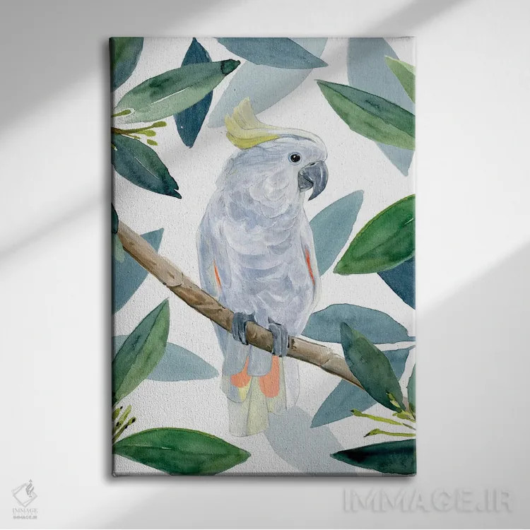 تابلو نشست طوطی کاکادو I اثر آنی وارن - نمای روبهرو روی دیوار