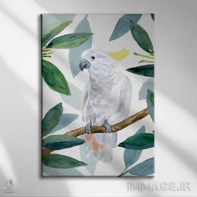 تابلو نشست طوطی کاکادو II اثر آنی وارن - نمای روبهرو روی دیوار