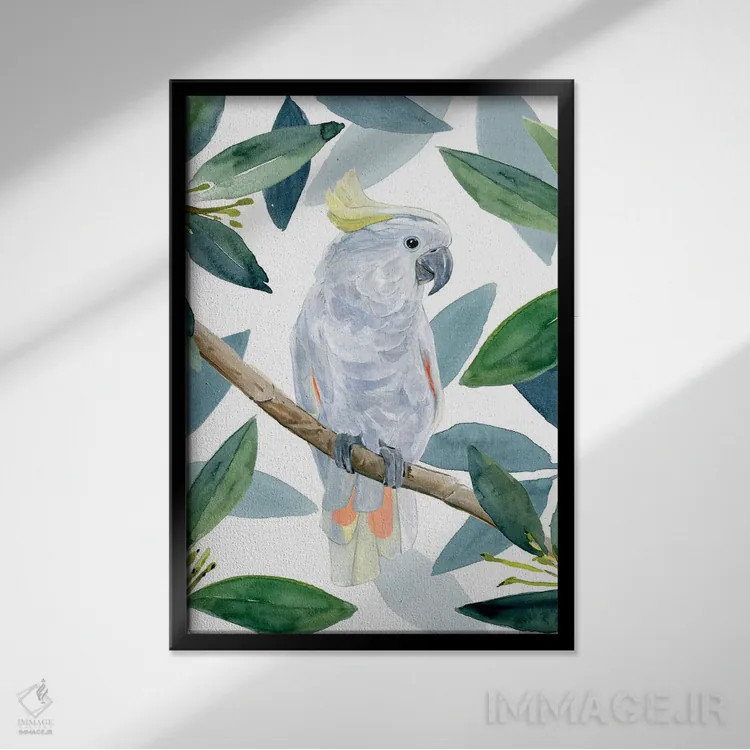 تابلو نشست طوطی کاکادو I اثر آنی وارن - نمای قابدار مشکی