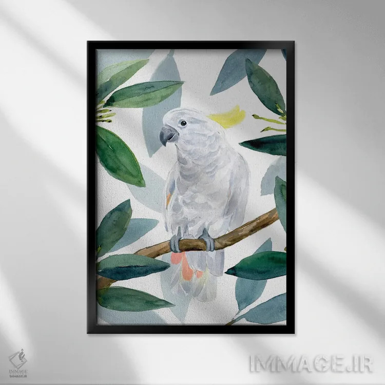 تابلو نشست طوطی کاکادو II اثر آنی وارن - نمای قابدار مشکی