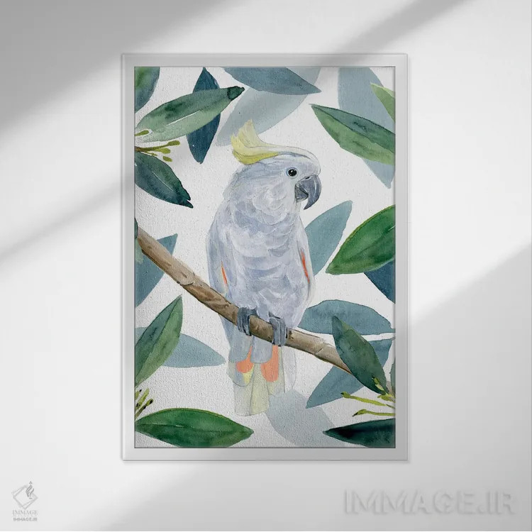 تابلو نشست طوطی کاکادو I اثر آنی وارن - نمای قابدار سفید