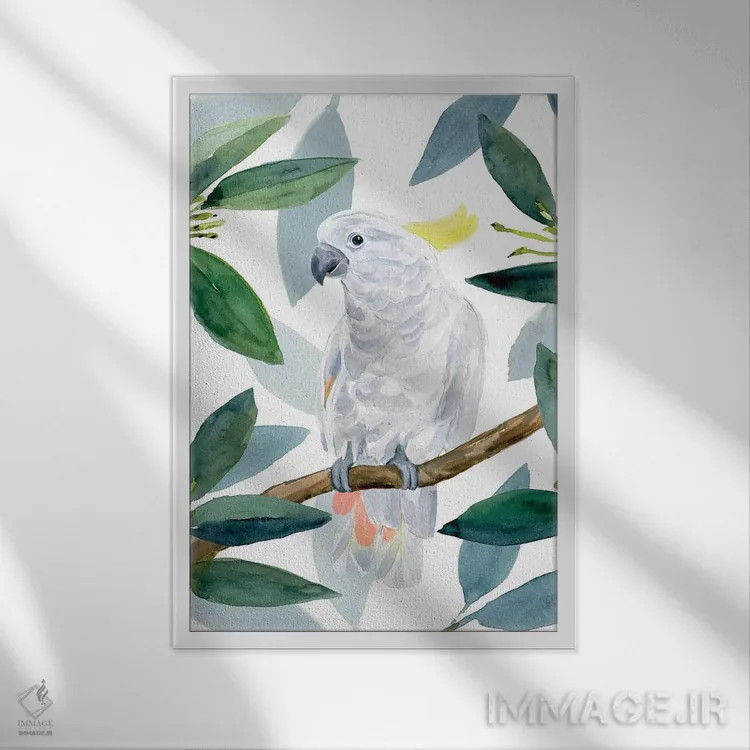 تابلو نشست طوطی کاکادو II اثر آنی وارن - نمای قابدار سفید