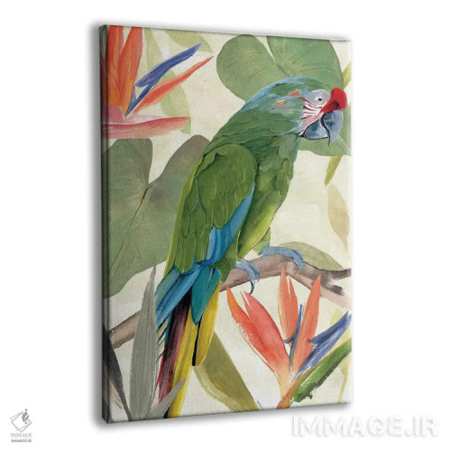 تابلو ترکیب طوطی گرمسیری I اثر آنی وارن - نمای پرسپکتیو محصول
