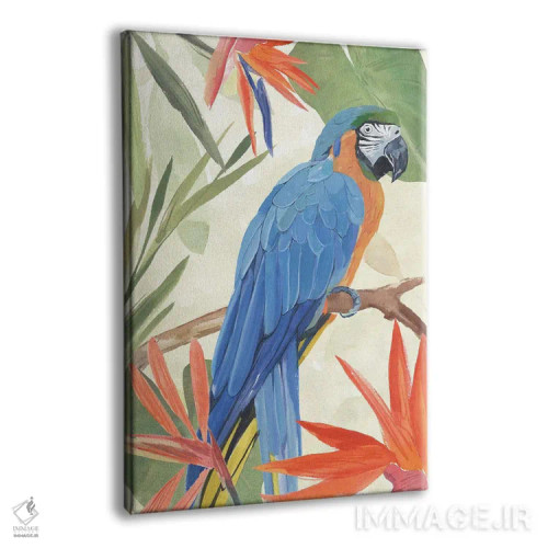 تابلو ترکیب طوطی گرمسیری IV اثر آنی وارن - نمای پرسپکتیو محصول
