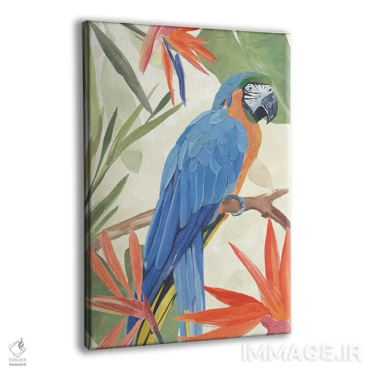 تابلو ترکیب طوطی گرمسیری IV اثر آنی وارن - نمای پرسپکتیو محصول