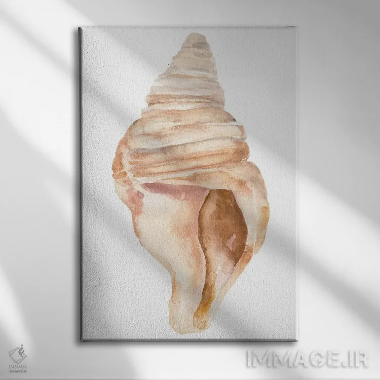 تابلو صدف دریایی II اثر آنی وارن - نمای روبهرو روی دیوار