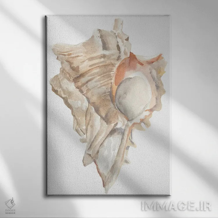تابلو صدف دریایی IV اثر آنی وارن - نمای روبهرو روی دیوار
