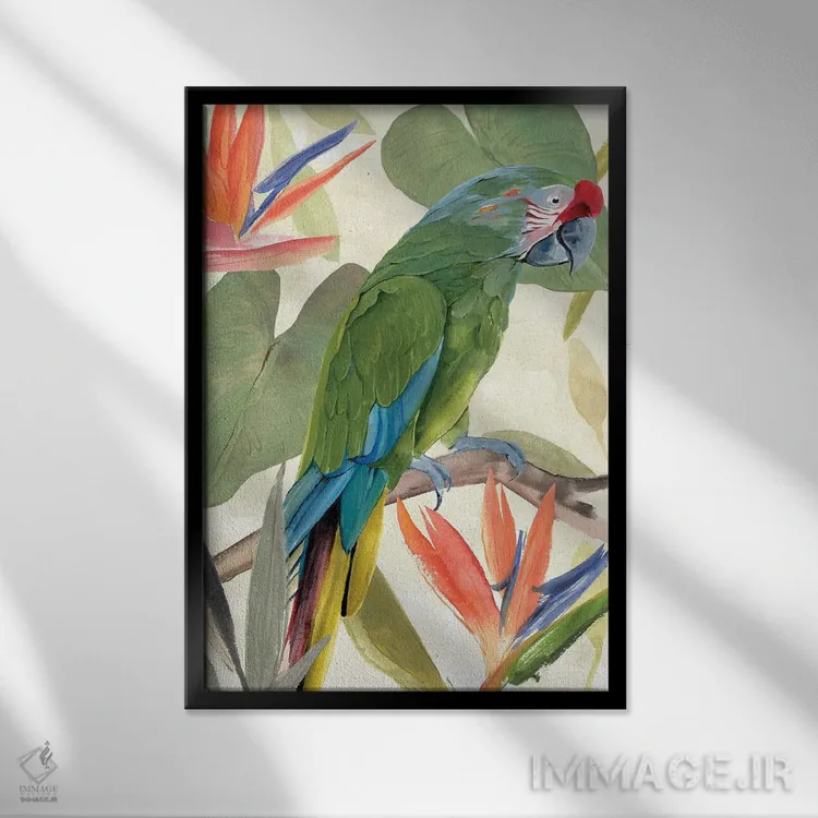 تابلو ترکیب طوطی گرمسیری I اثر آنی وارن - نمای قابدار مشکی