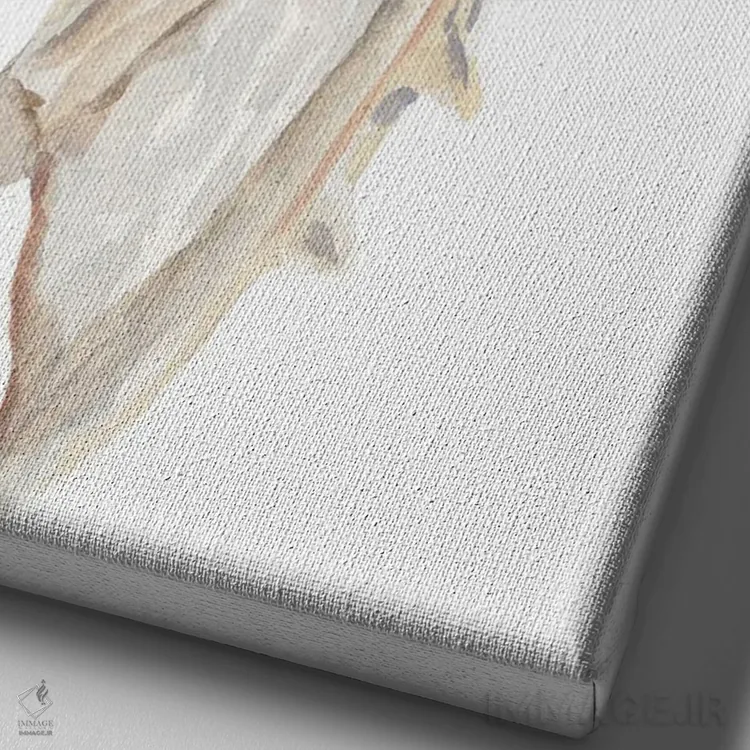 تابلو صدف دریایی IV اثر آنی وارن - نمای نزدیک بافت بوم