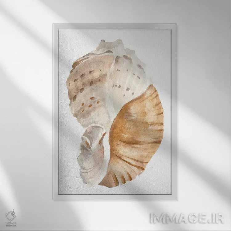 تابلو صدف دریایی I اثر آنی وارن - نمای قابدار سفید