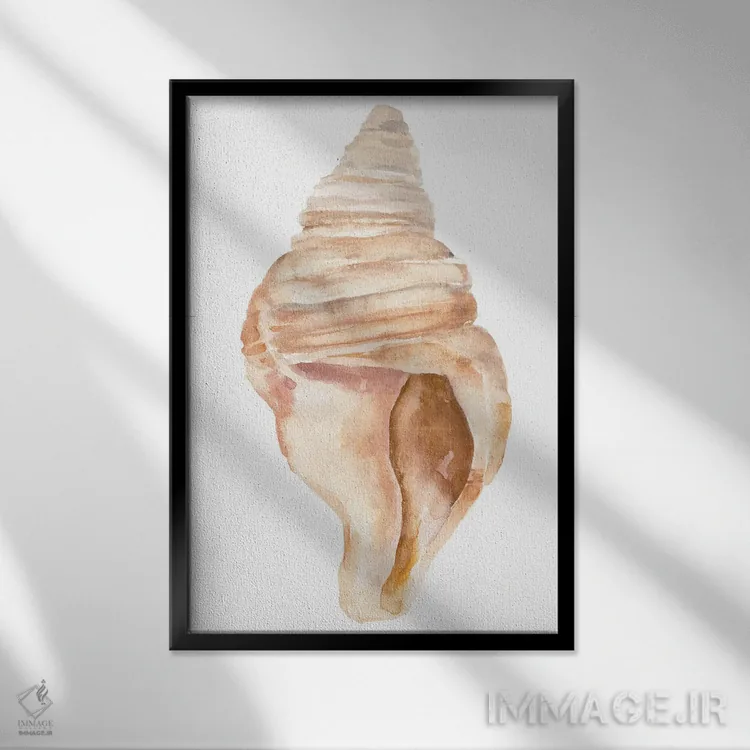 تابلو صدف دریایی II اثر آنی وارن - نمای قابدار مشکی