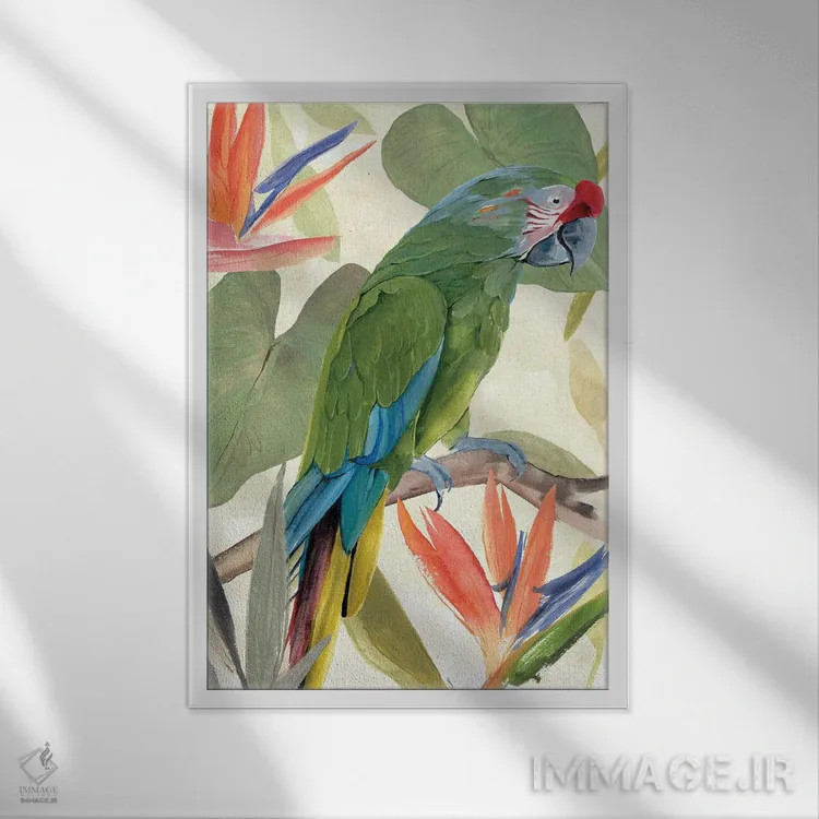 تابلو ترکیب طوطی گرمسیری I اثر آنی وارن - نمای قابدار سفید