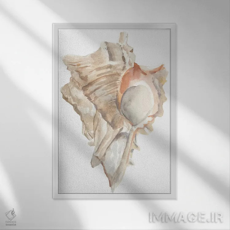 تابلو صدف دریایی IV اثر آنی وارن - نمای قابدار سفید