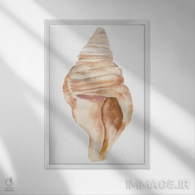 تابلو صدف دریایی II اثر آنی وارن - نمای قابدار سفید