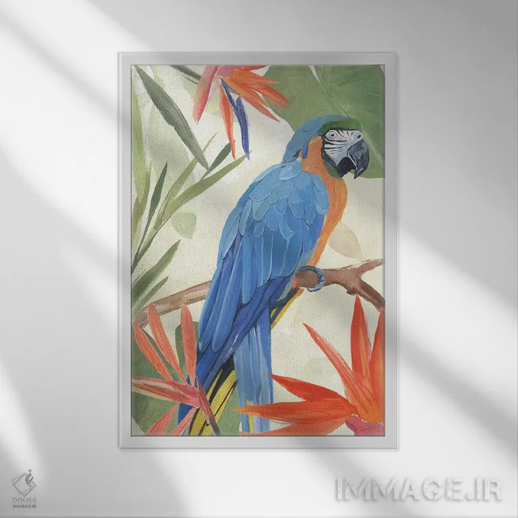 تابلو ترکیب طوطی گرمسیری IV اثر آنی وارن - نمای قابدار سفید