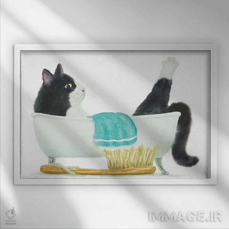 تابلو گربهٔ تاکسیدو در وان اثر آلکسی دیمیتریویچ شمیروف - نمای قابدار سفید