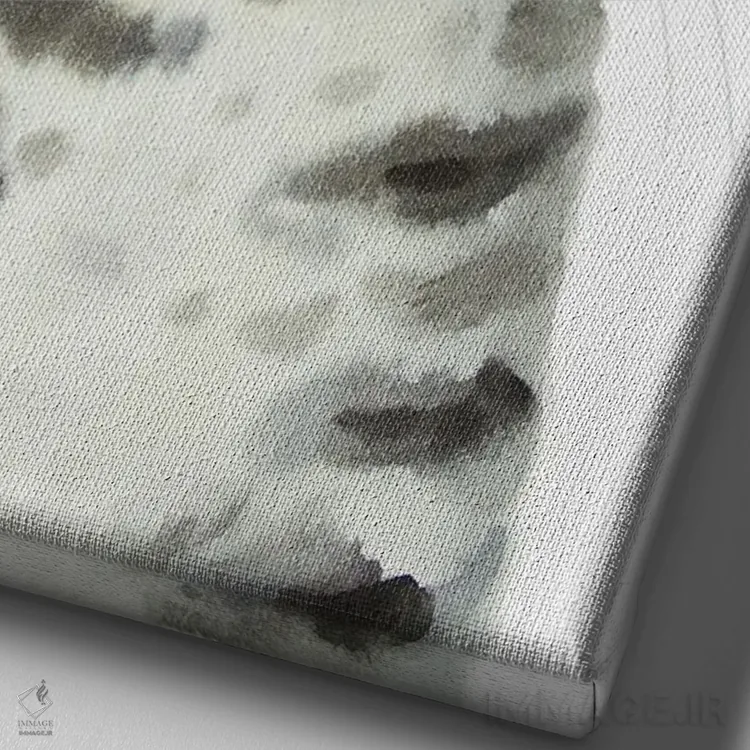 تابلو گربهٔ خاکستری راهراه تاجدار اثر آلکسی دیمیتریویچ شمیروف - نمای نزدیک بافت بوم