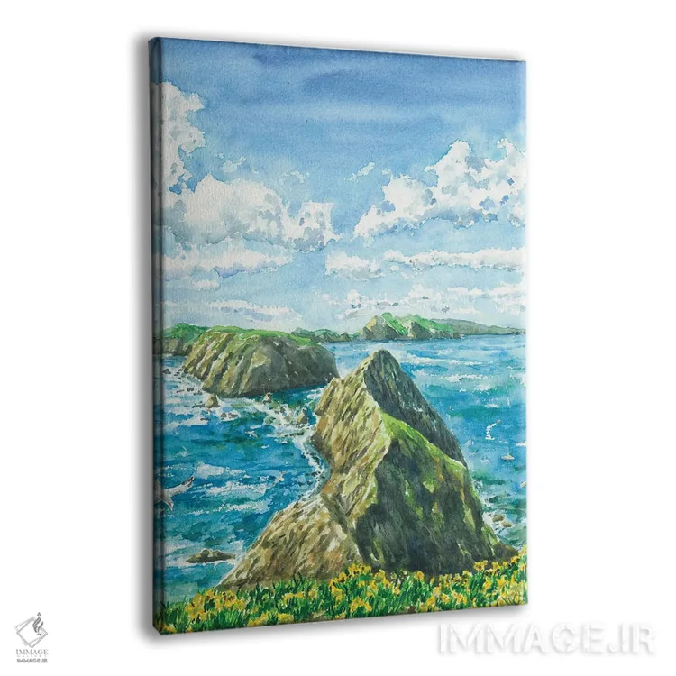 تابلو پارک ملی جزایر چنل (آمریکا) اثر آلکسی دیمیتریویچ شمیروف - نمای پرسپکتیو محصول