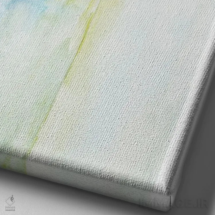 تابلو گربهٔ بامزه در جعبه اثر آلکسی دیمیتریویچ شمیروف - نمای نزدیک بافت بوم