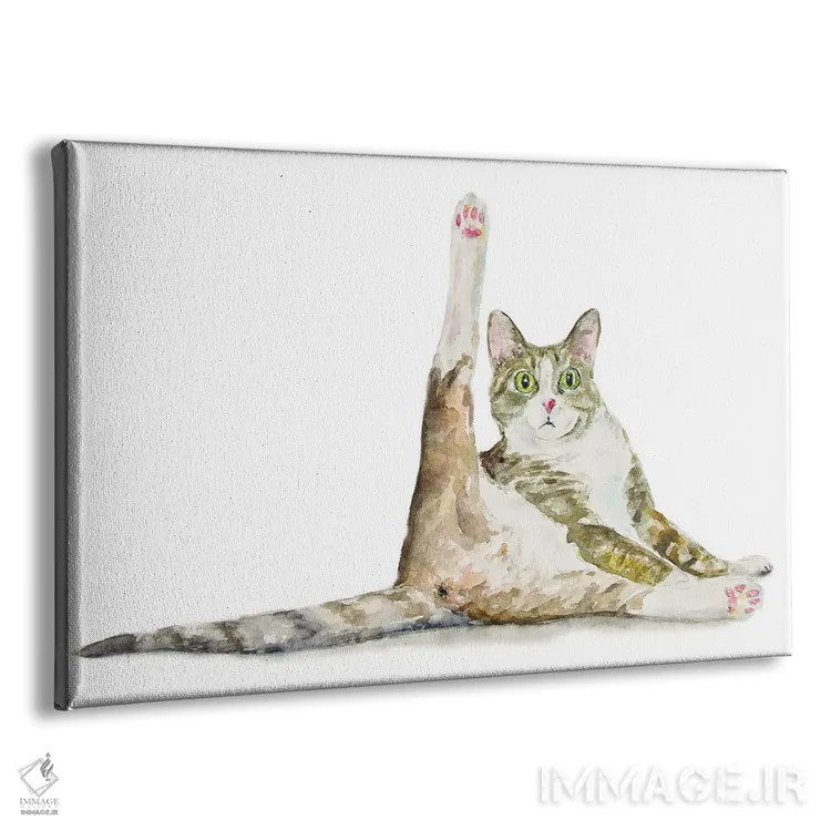 تابلو گربهٔ بامزه در حال یوگا اثر آلکسی دیمیتریویچ شمیروف - نمای پرسپکتیو محصول