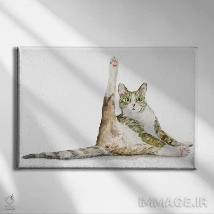 تابلو گربهٔ بامزه در حال یوگا اثر آلکسی دیمیتریویچ شمیروف - نمای روبهرو روی دیوار