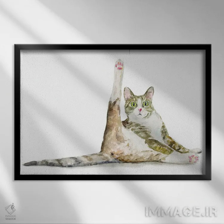 تابلو گربهٔ بامزه در حال یوگا اثر آلکسی دیمیتریویچ شمیروف - نمای قابدار مشکی
