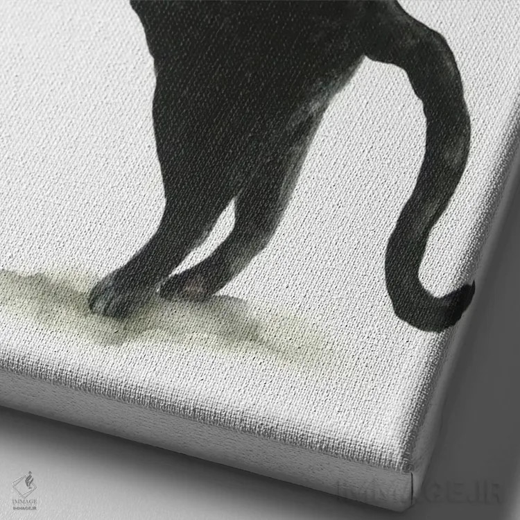 تابلو گربهٔ سیاه شیطون اثر آلکسی دیمیتریویچ شمیروف - نمای نزدیک بافت بوم