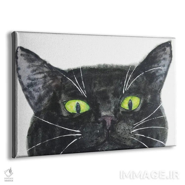 تابلو گربهٔ سیاه در حال سرک کشیدن اثر آلکسی دیمیتریویچ شمیروف - نمای پرسپکتیو محصول