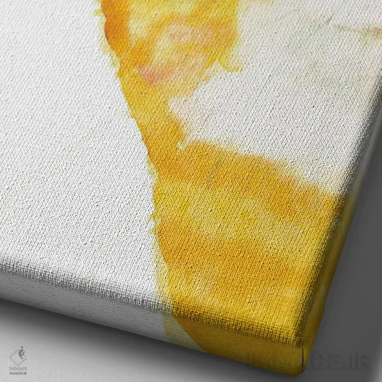 تابلو گربهٔ نارنجی در حال سرک کشیدن اثر آلکسی دیمیتریویچ شمیروف - نمای نزدیک بافت بوم