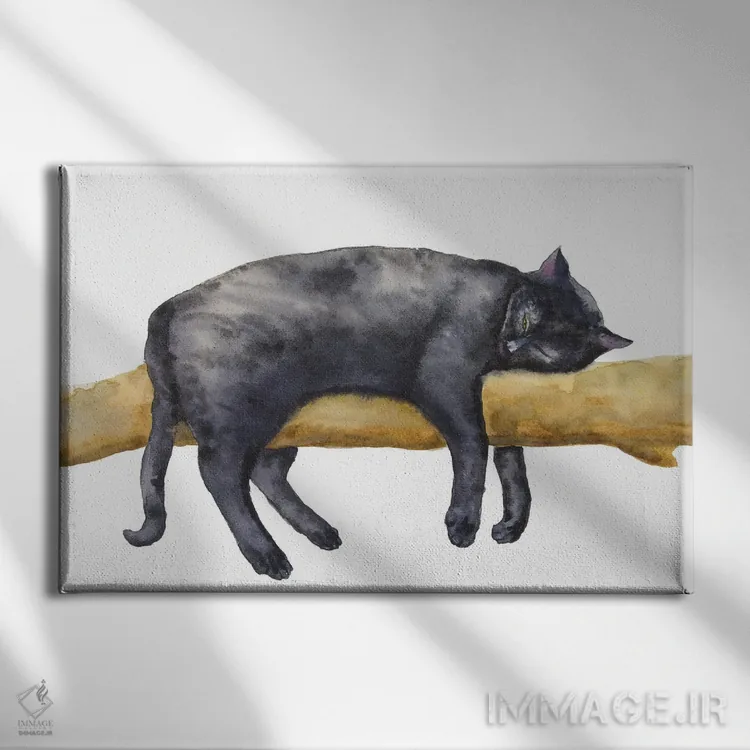 تابلو گربهٔ سیاه خوابیده اثر آلکسی دیمیتریویچ شمیروف - نمای روبهرو روی دیوار