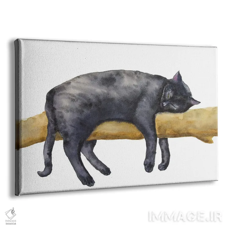 تابلو گربهٔ سیاه خوابیده اثر آلکسی دیمیتریویچ شمیروف - نمای پرسپکتیو محصول