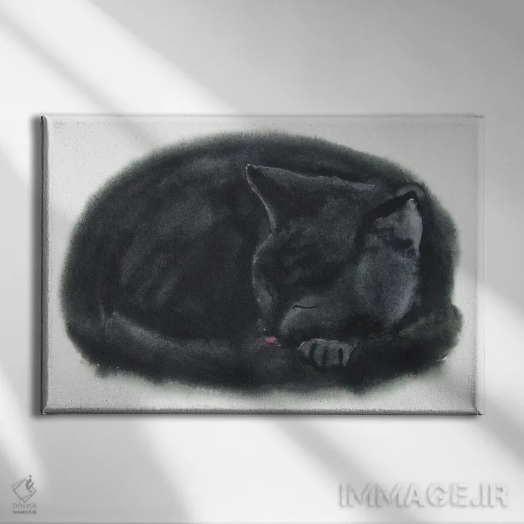 تابلو بچهگربهٔ سیاه خوابیده اثر آلکسی دیمیتریویچ شمیروف - نمای روبهرو روی دیوار