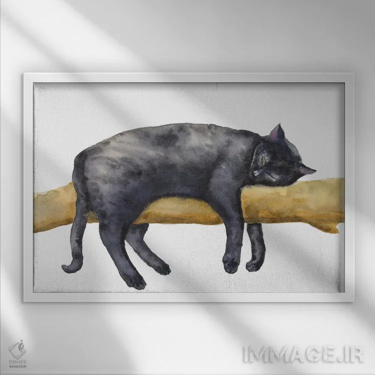 تابلو گربهٔ سیاه خوابیده اثر آلکسی دیمیتریویچ شمیروف - نمای قابدار سفید