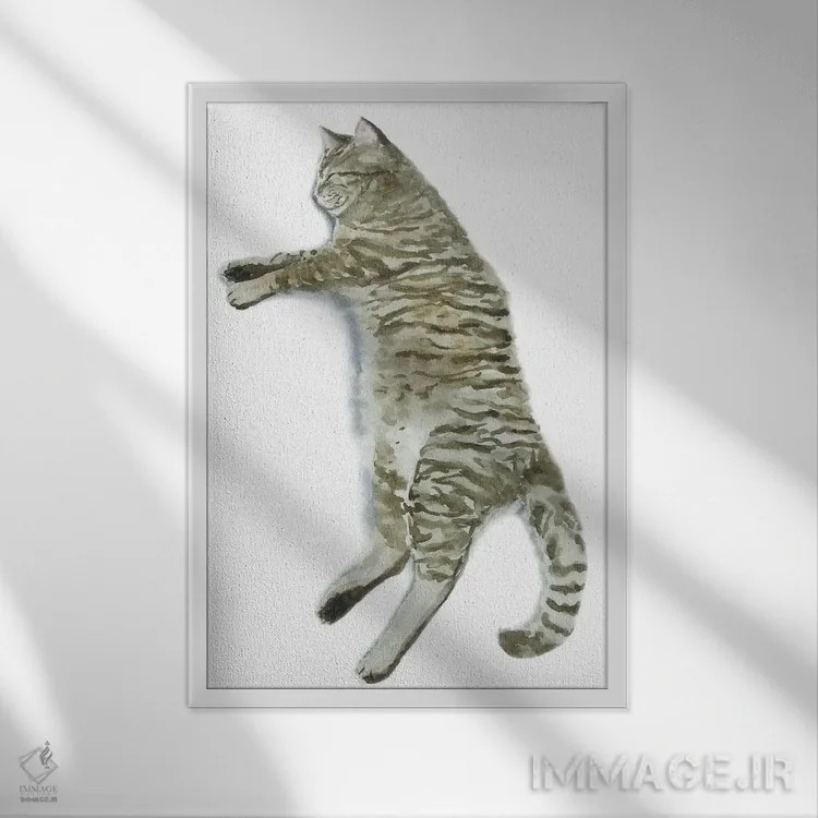 تابلو گربهٔ راهراه خوابیده II اثر آلکسی دیمیتریویچ شمیروف - نمای قابدار سفید