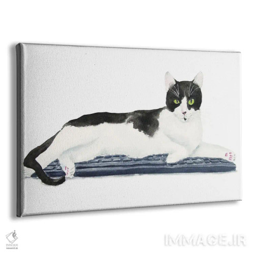 تابلو گربهی تاکسیدو روی کیبورد اثر آلکسی دیمیتریویچ شمیروف - نمای پرسپکتیو محصول