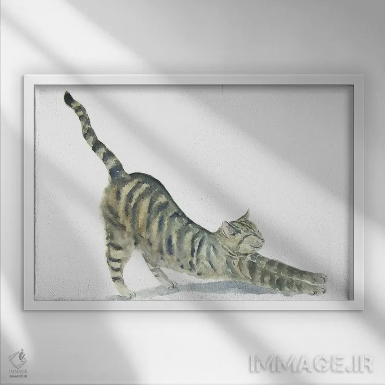 تابلو گربهٔ راهراه در حال یوگا اثر آلکسی دیمیتریویچ شمیروف - نمای قابدار سفید