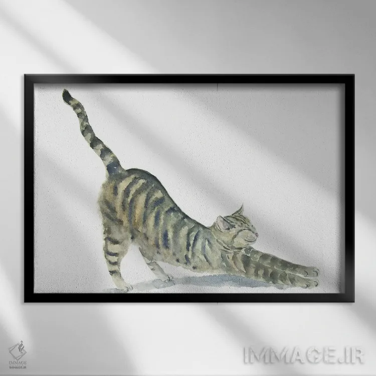 تابلو گربهٔ راهراه در حال یوگا اثر آلکسی دیمیتریویچ شمیروف - نمای قابدار مشکی